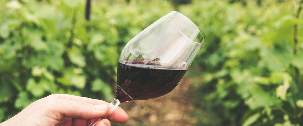 wine tasting