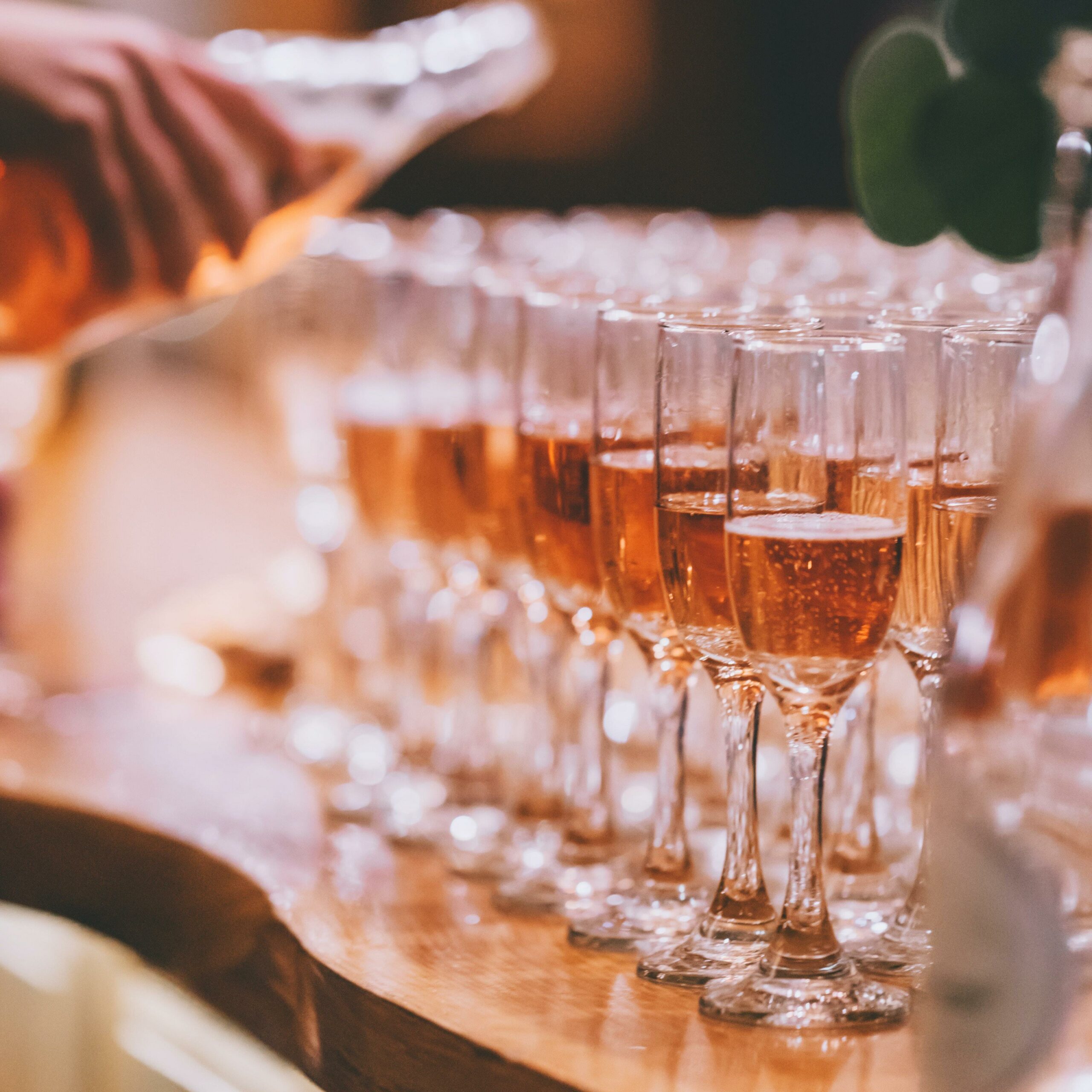 Summer Wine Tasting
