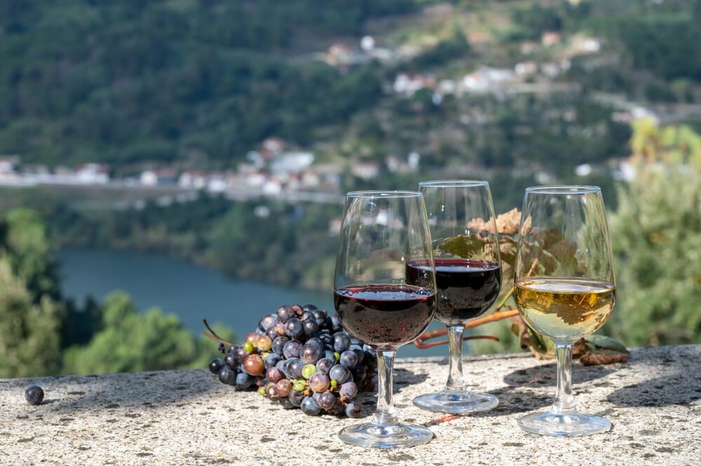 Portuguese Wine Tasting