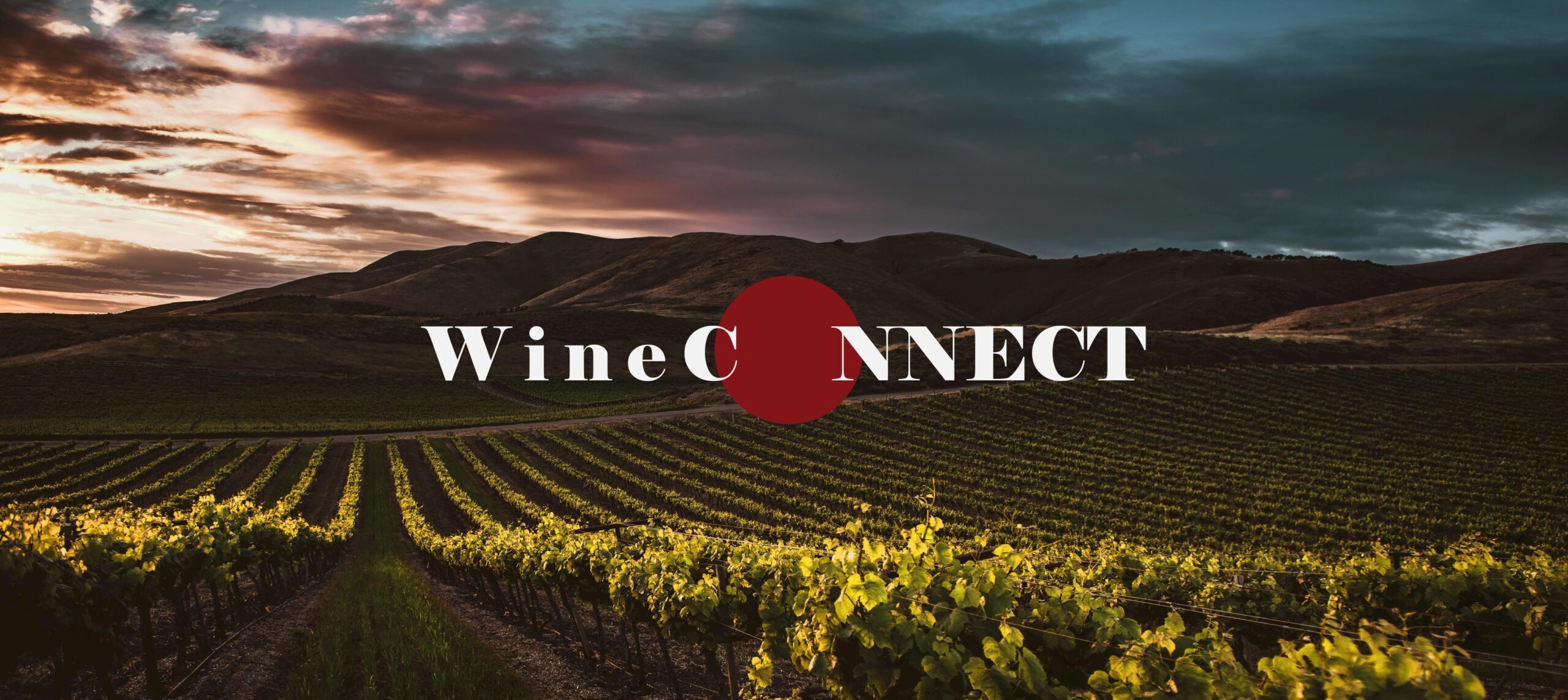 WineConnect Dublin