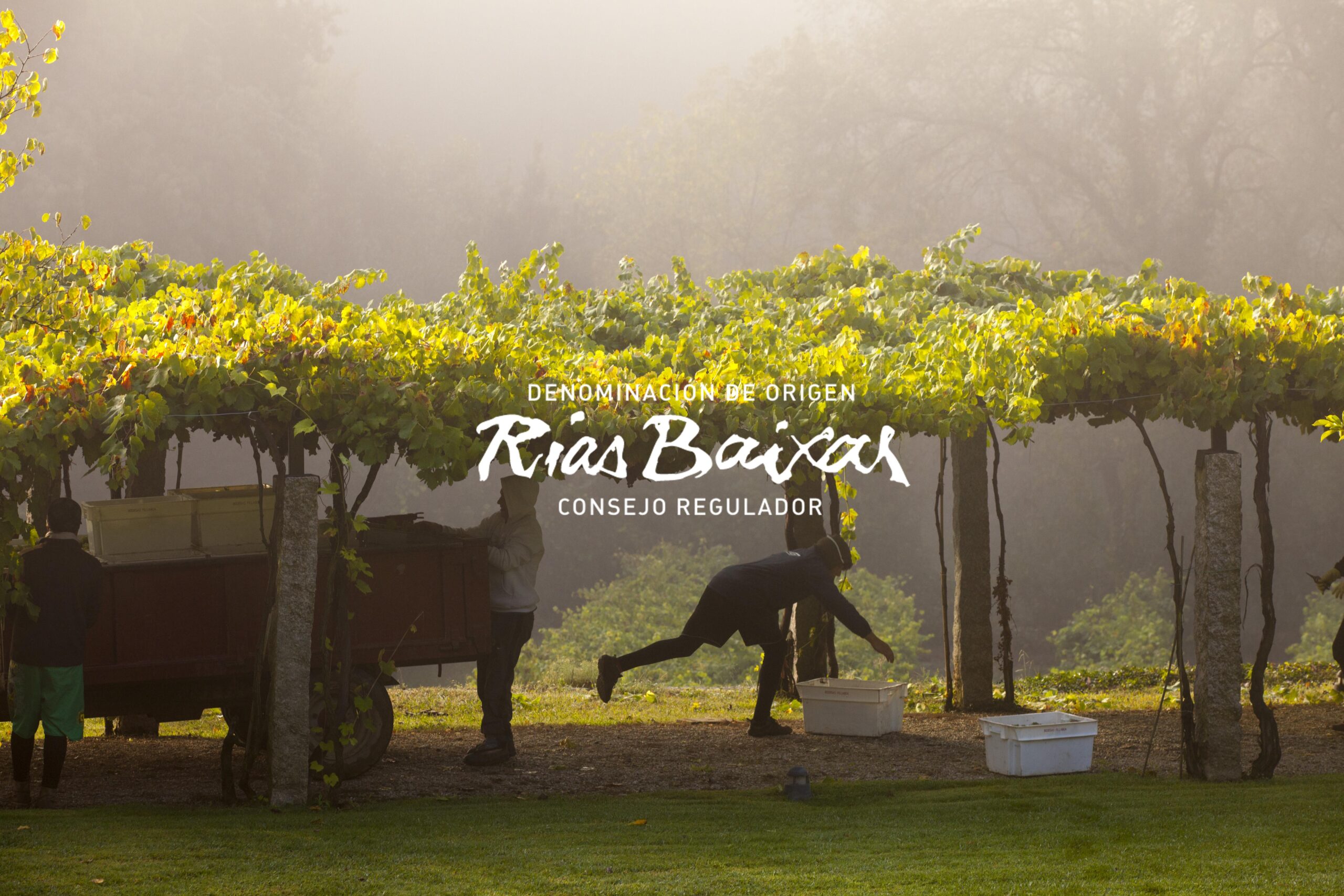 Rías Baixas Trade Event