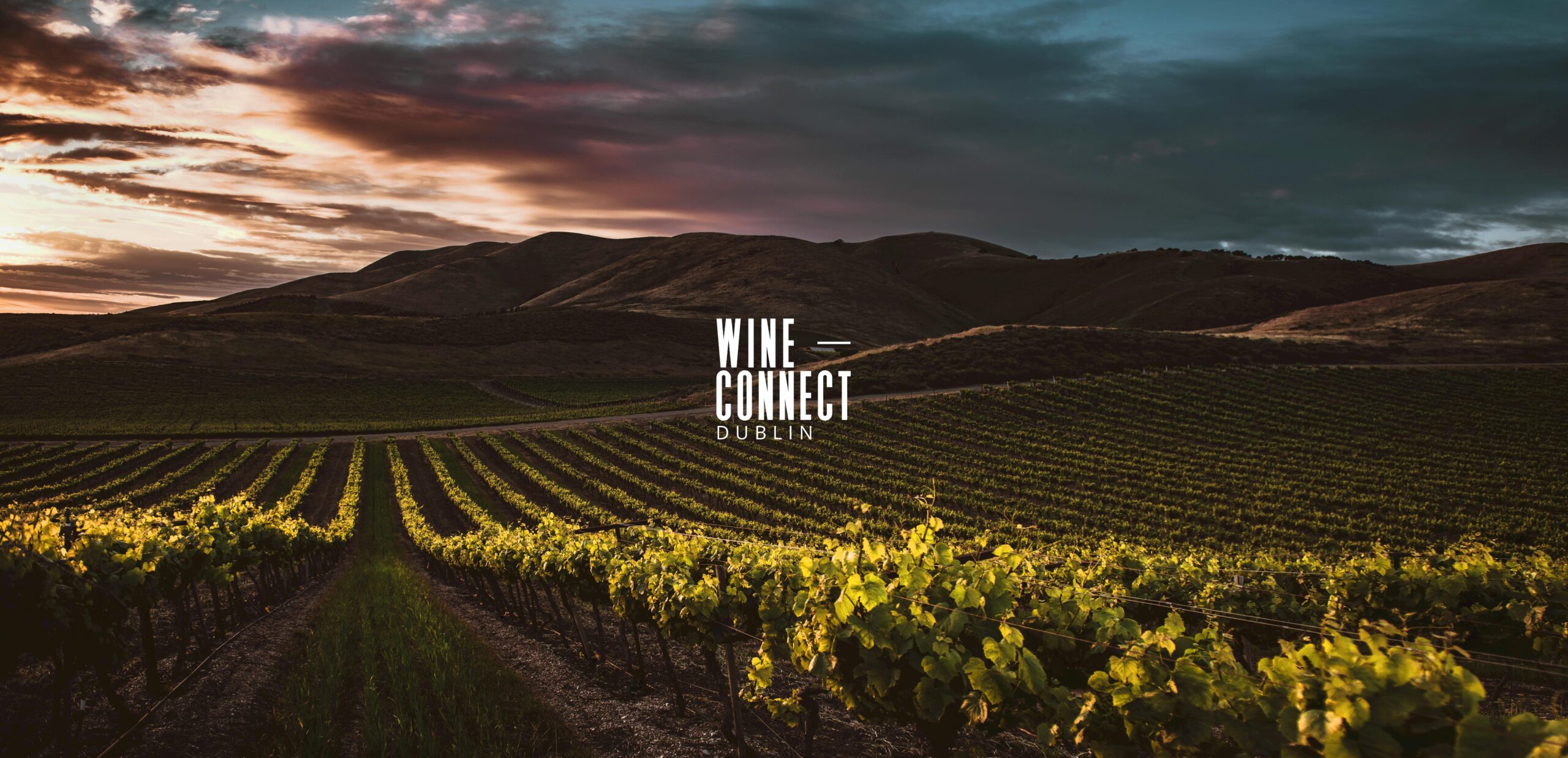 WineCONNECT Dublin | GENERAL ADMISSION