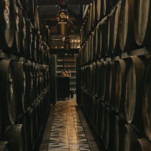 pexels-julianemonarifotografia-30654294