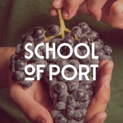 We are an official educational partner of the School of Port. ​
